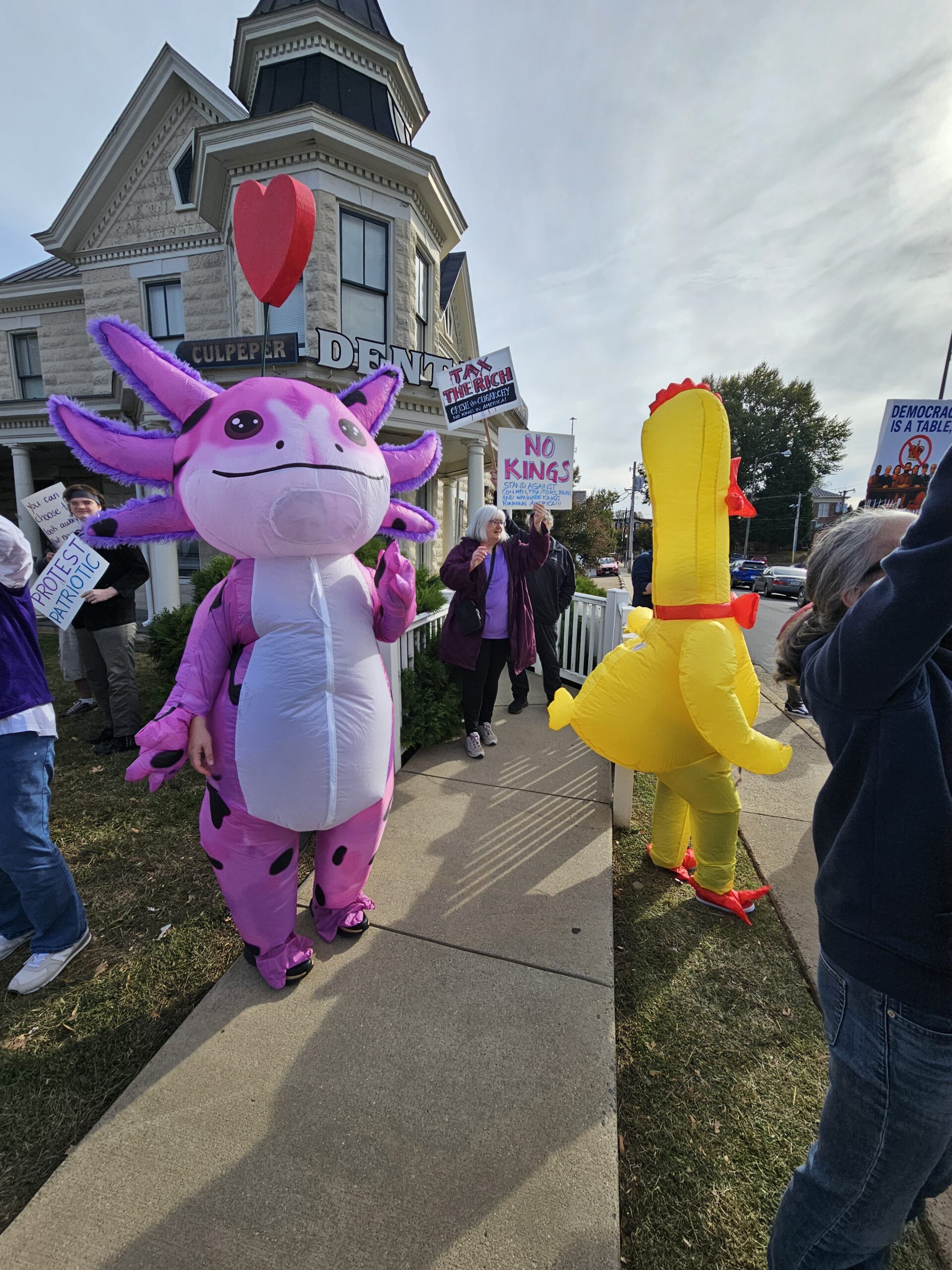 No Kings 2 Axolotl and Chicken