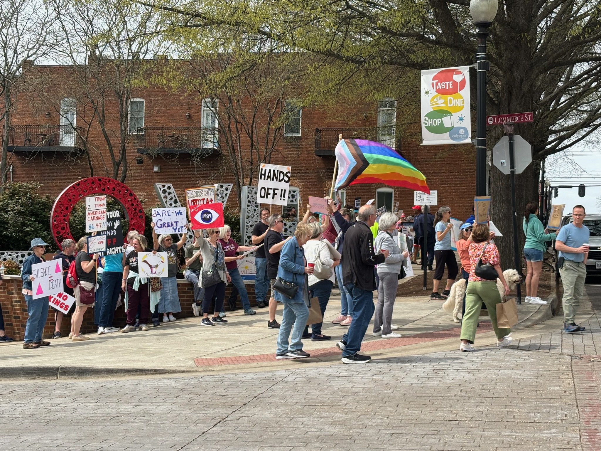 Pride Flag at Culpeper Hands Off protest